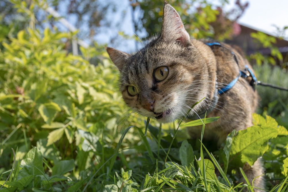 Photograph by Герман Корнеев