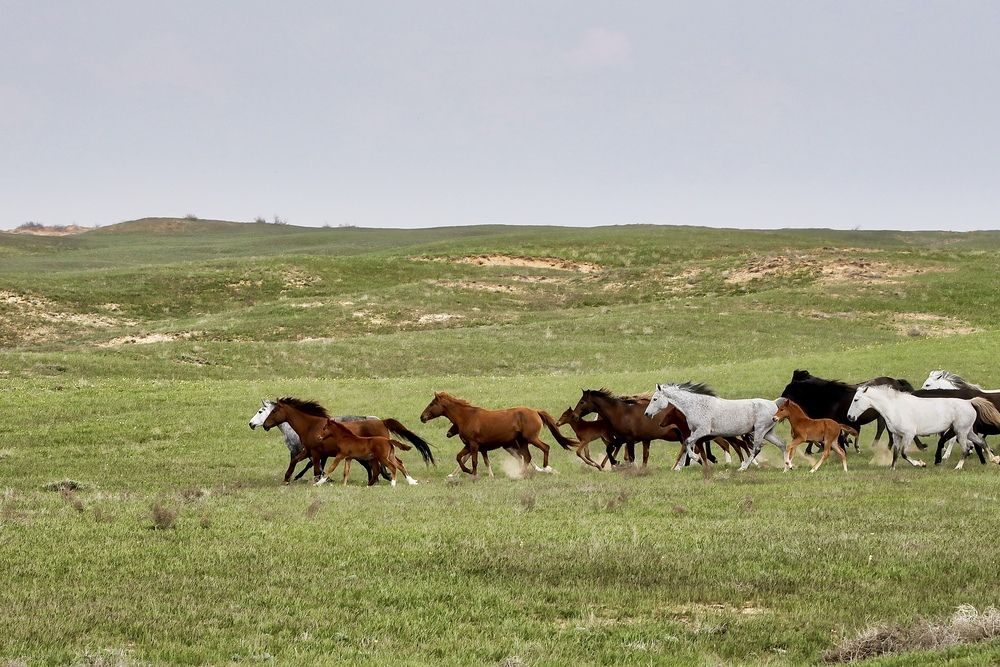 Фотография автора Голубков Леонид