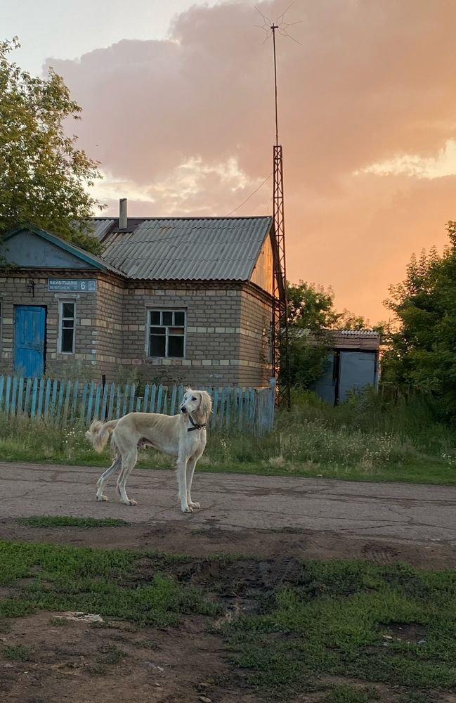 Photograph by Dina Din