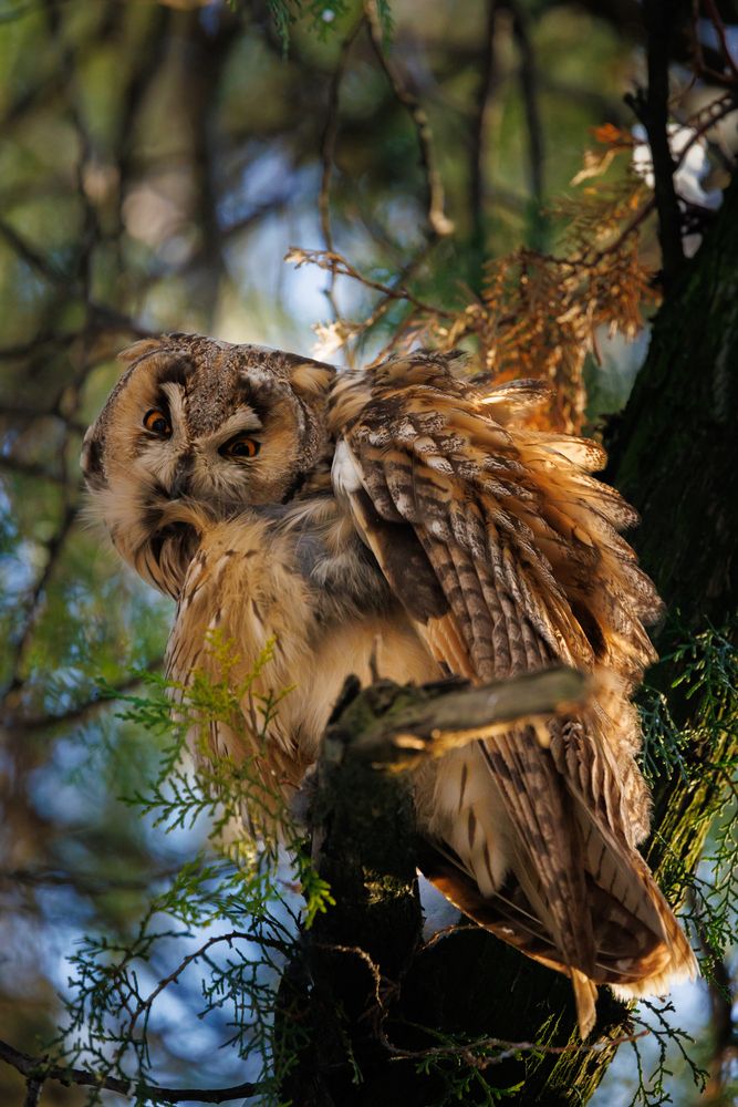 Photograph by Maxim Lip