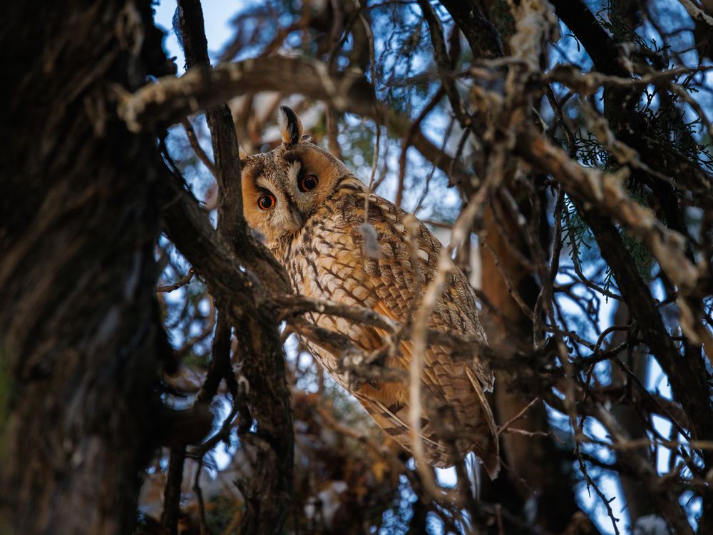 Photograph by Maxim Lip