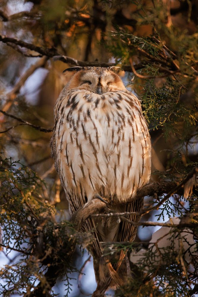 Photograph by Maxim Lip