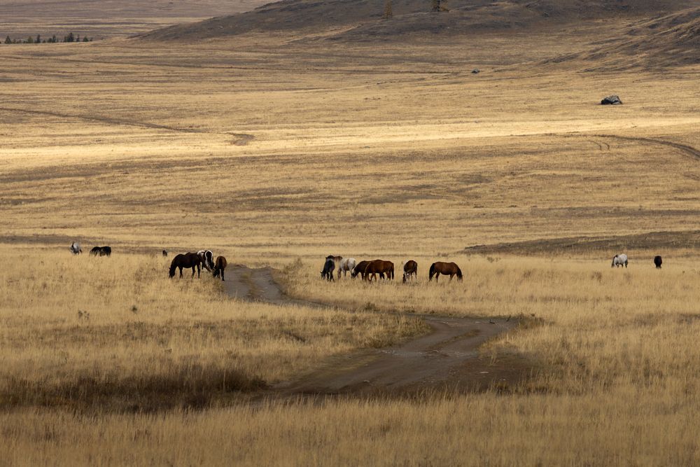 Photograph by Юлия Яковлева
