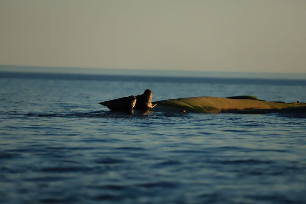 Photograph by Юлия Яковлева