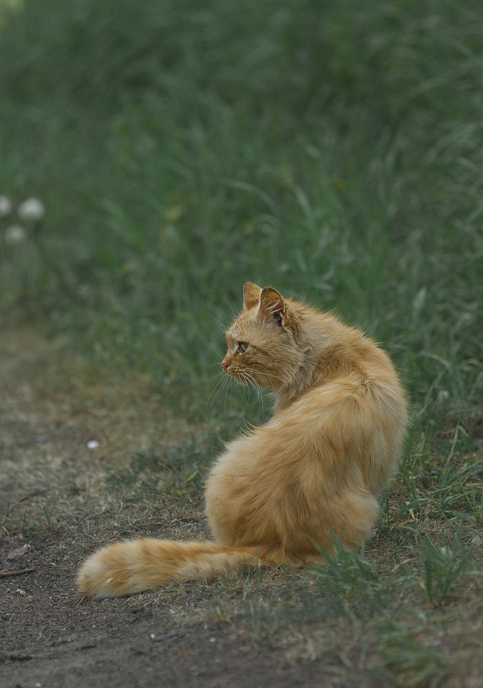 Photograph by Виктория Уварова