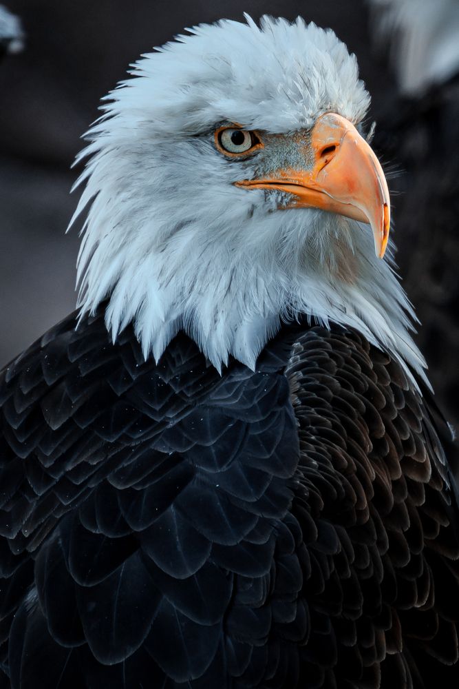 Photograph by Athul Konikkara