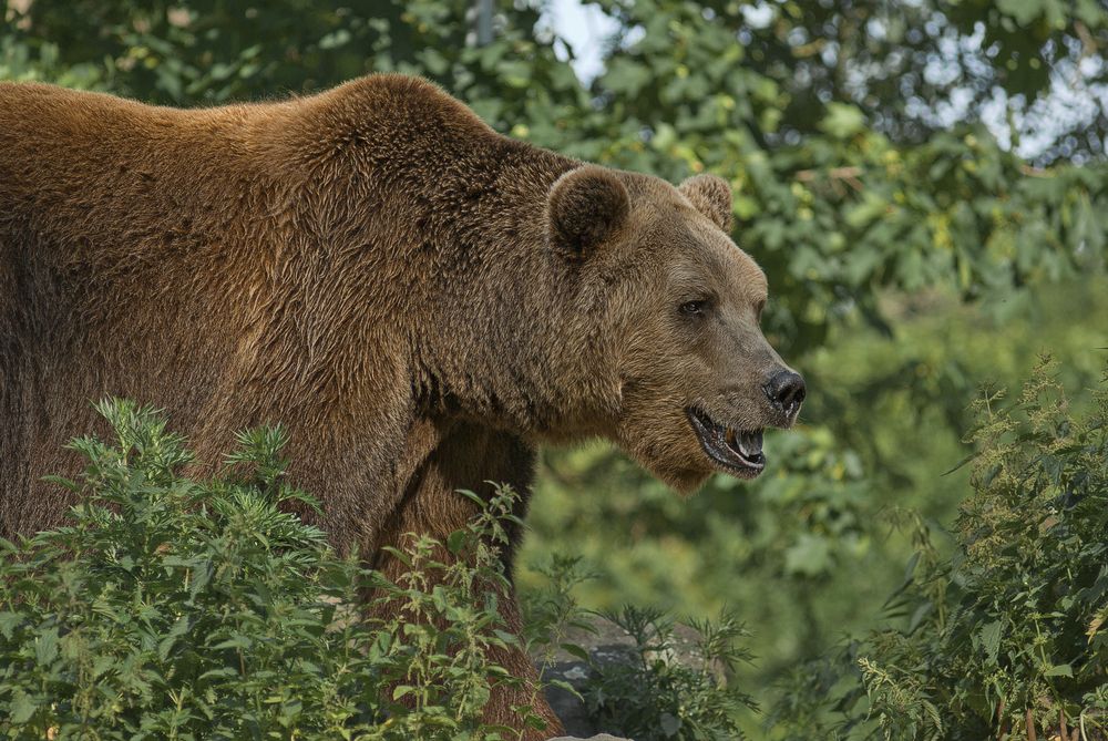 Photograph by Виктория Уварова