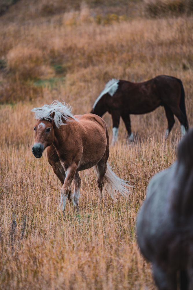 Photograph by Athul Konikkara