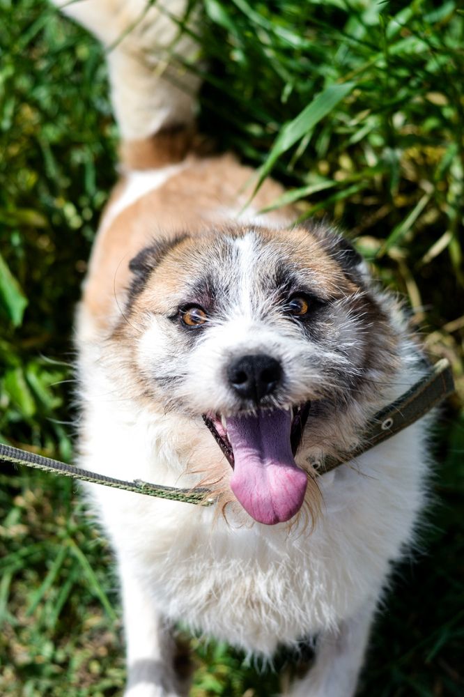 Photograph by Оксана