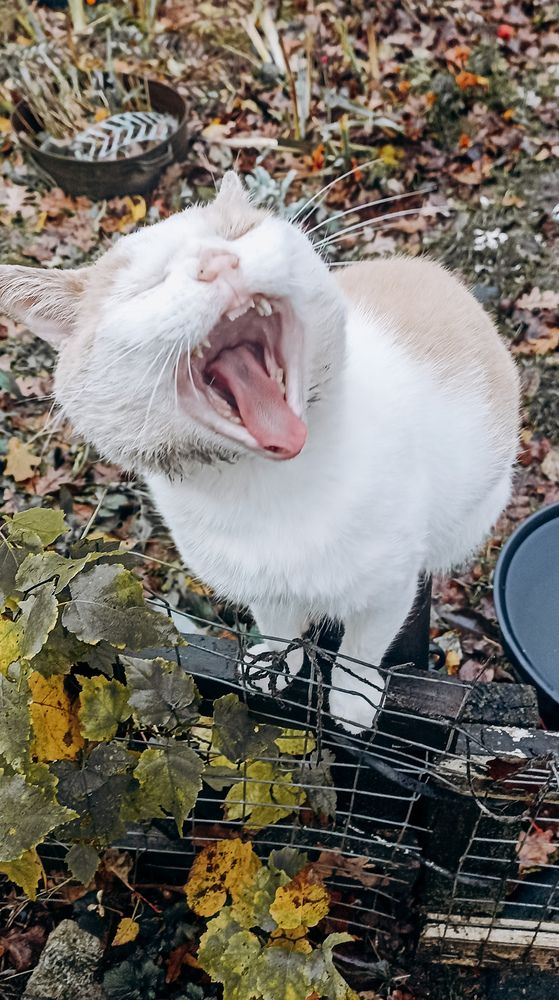 Photograph by Оксана