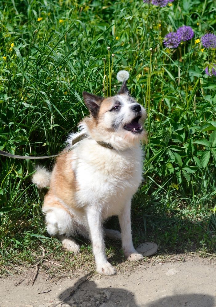 Photograph by Оксана