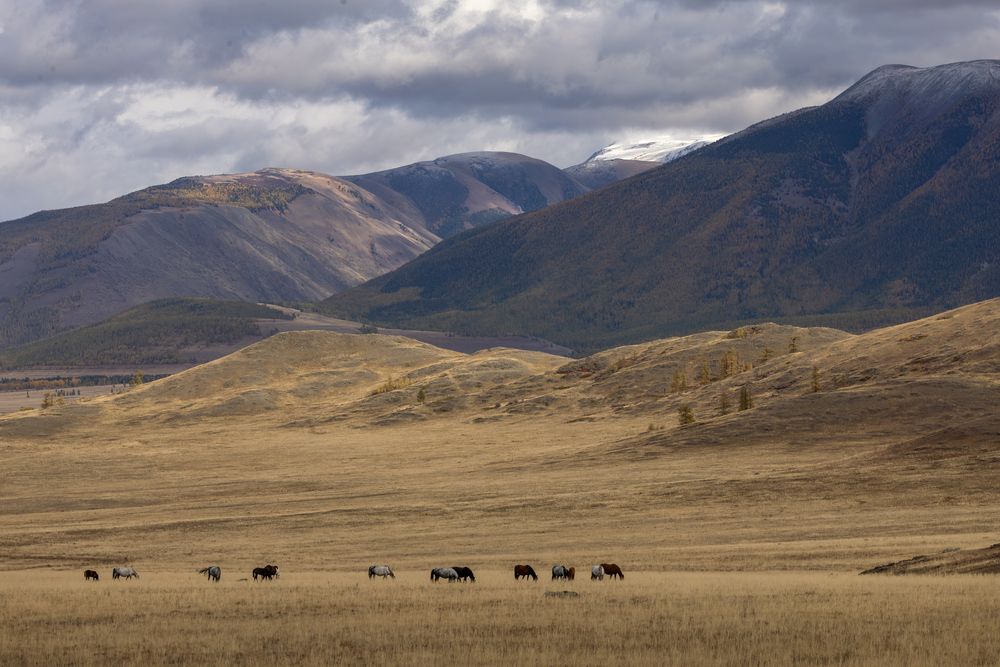 Photograph by Юлия Яковлева