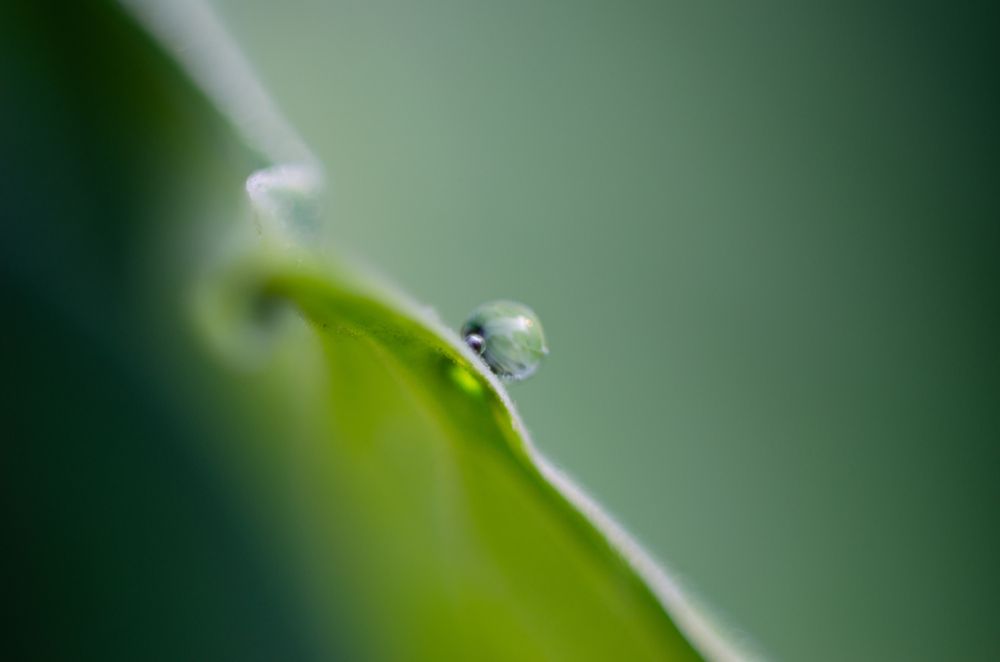 Photograph by Юлия Лебедева