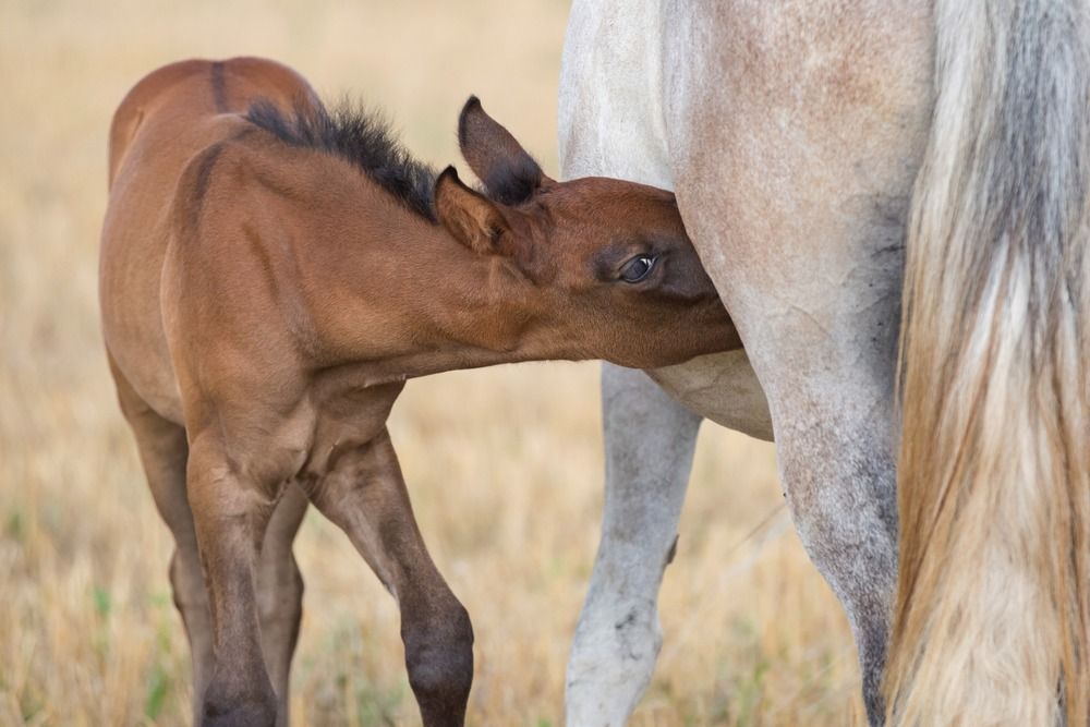 Photograph by Oleg Patrin