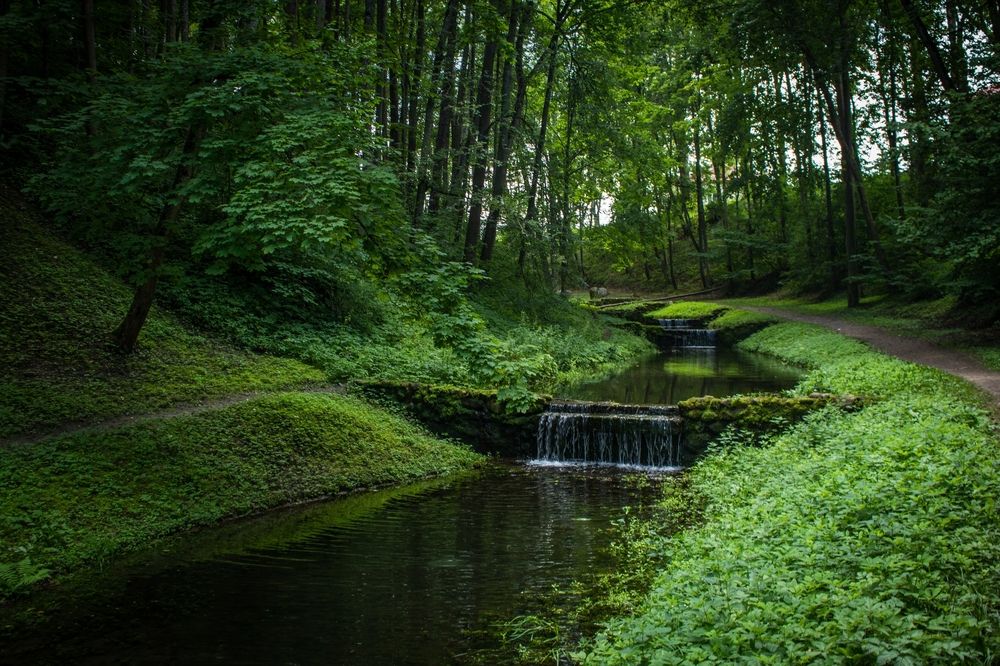 Фотография автора Виктория Трущенко