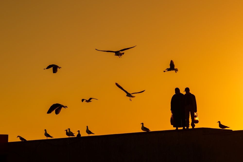 Photograph by Oleg Patrin