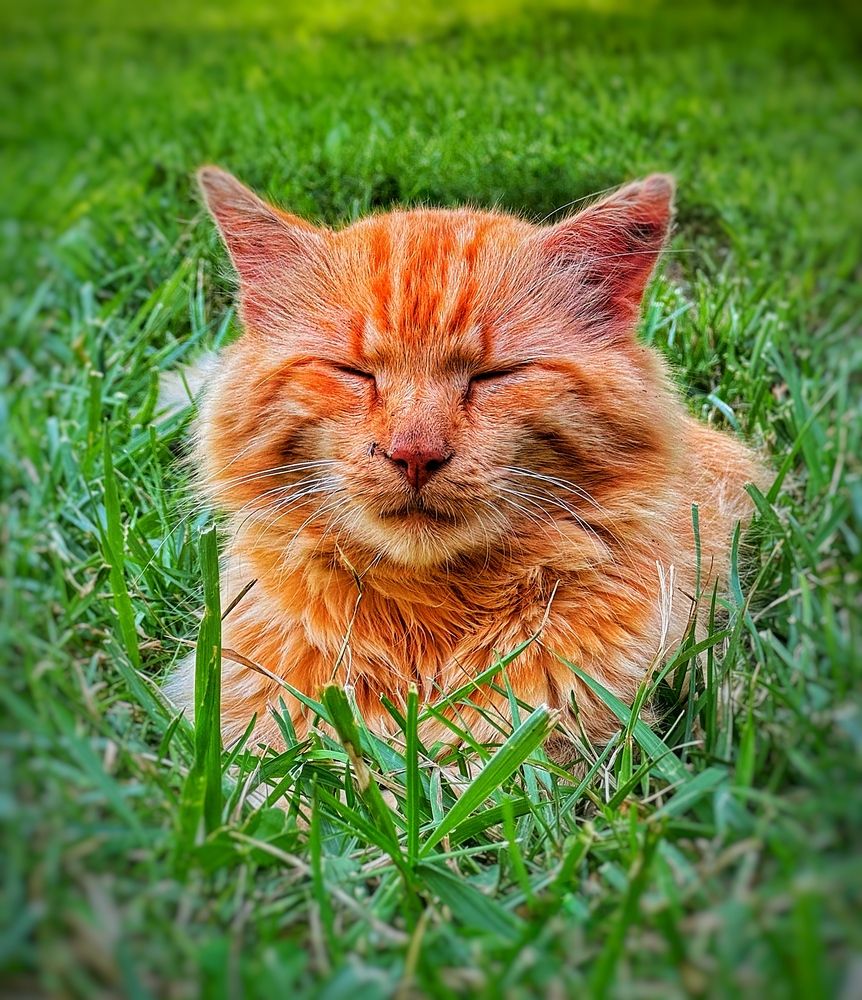 Photograph by Юлия Порфирьева