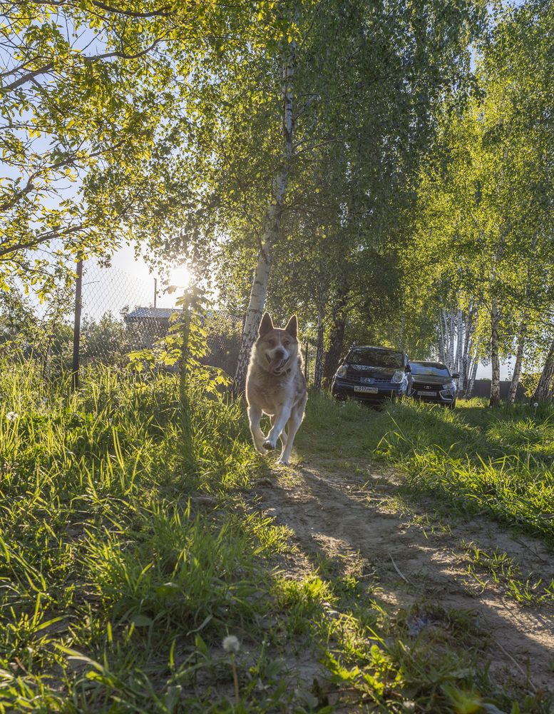 Photograph by Герман Корнеев