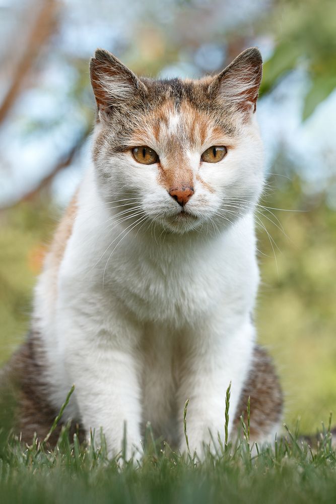 Photograph by Анна Татаренко