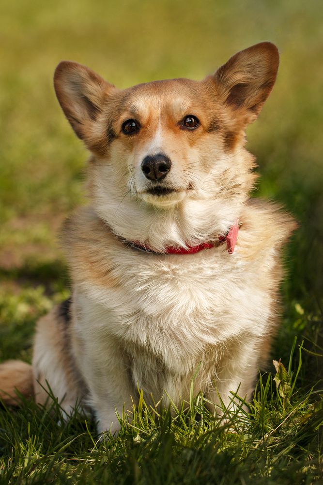 Photograph by Анна Татаренко