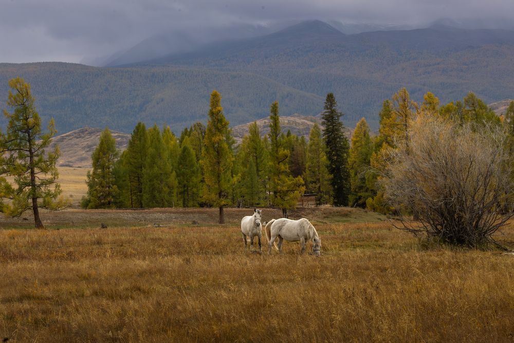 Photograph by Юлия Яковлева