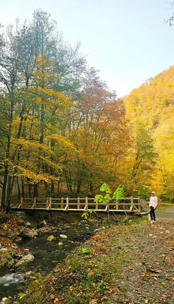 Осень в Сочи