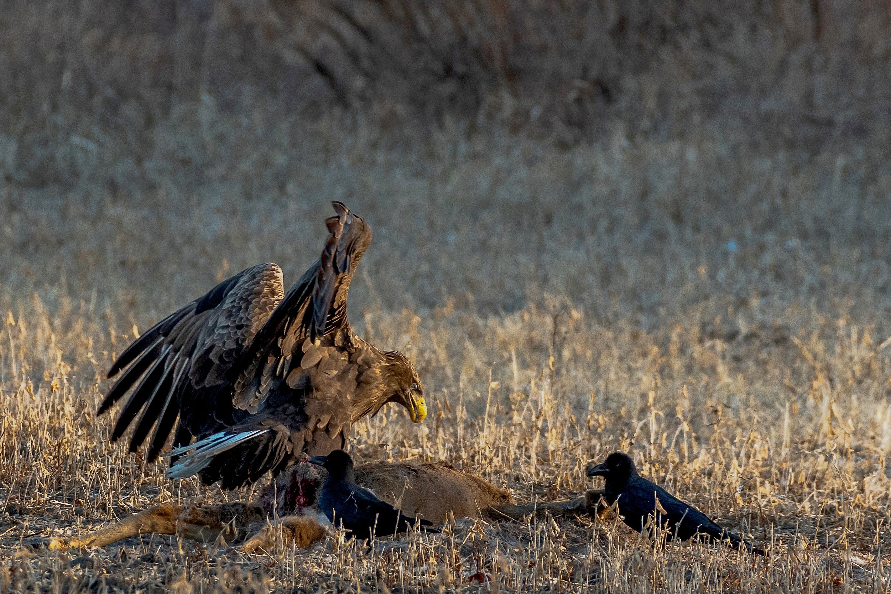 Photograph by Константин Тучин