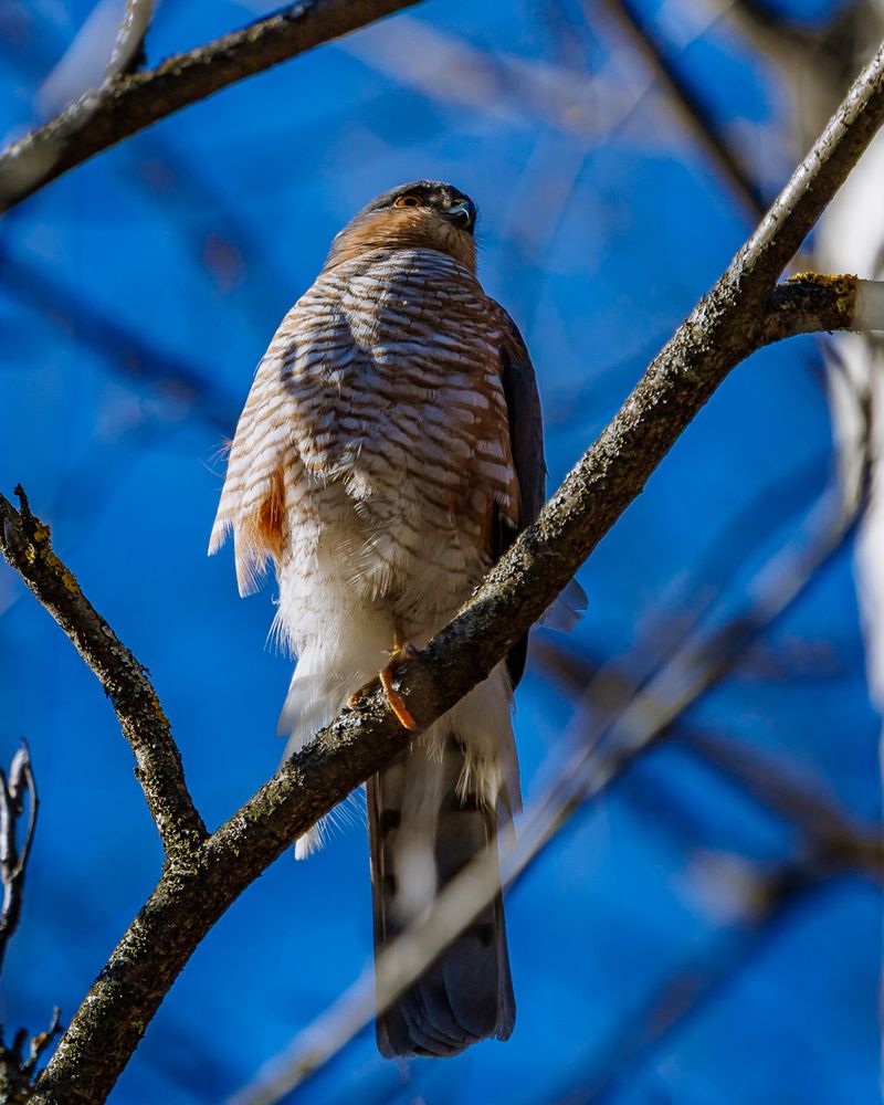Photograph by Лоскутов Илья