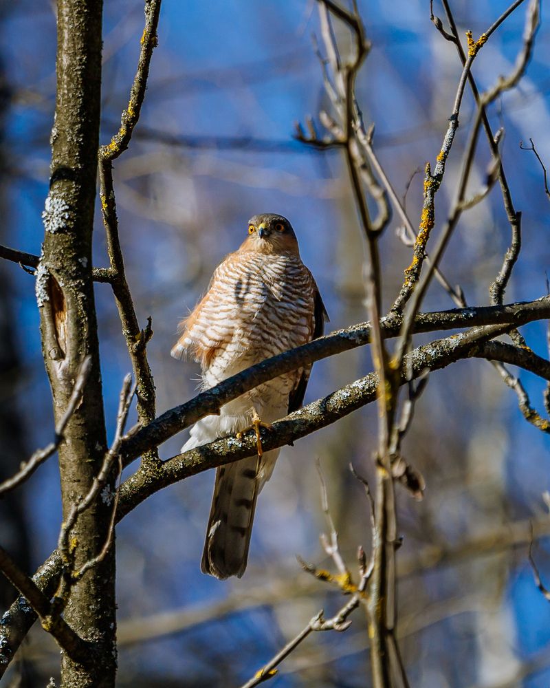 Photograph by Лоскутов Илья