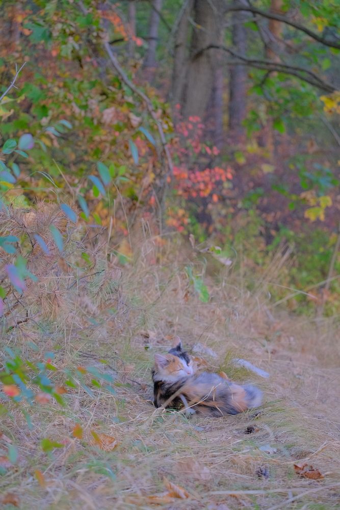 Photograph by Марина Душевина