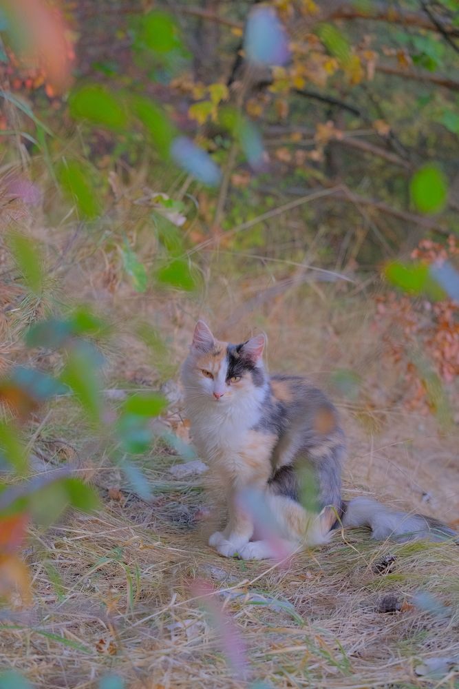 Photograph by Марина Душевина