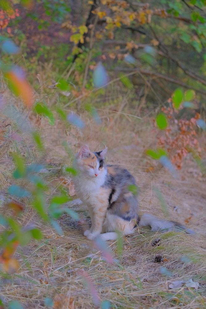 Photograph by Марина Душевина