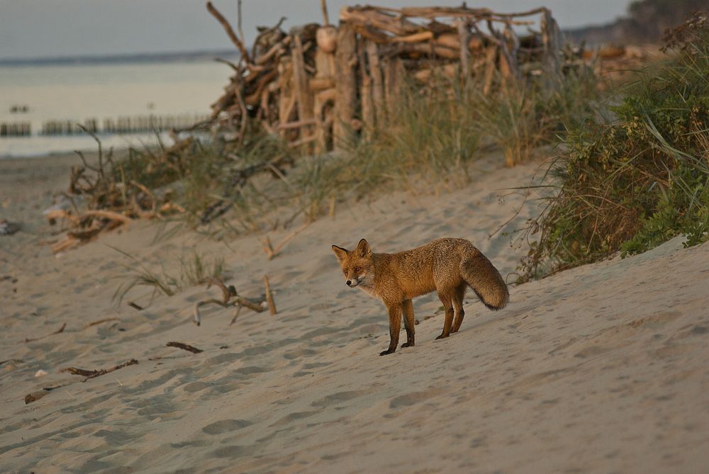 Photograph by Виктория Уварова