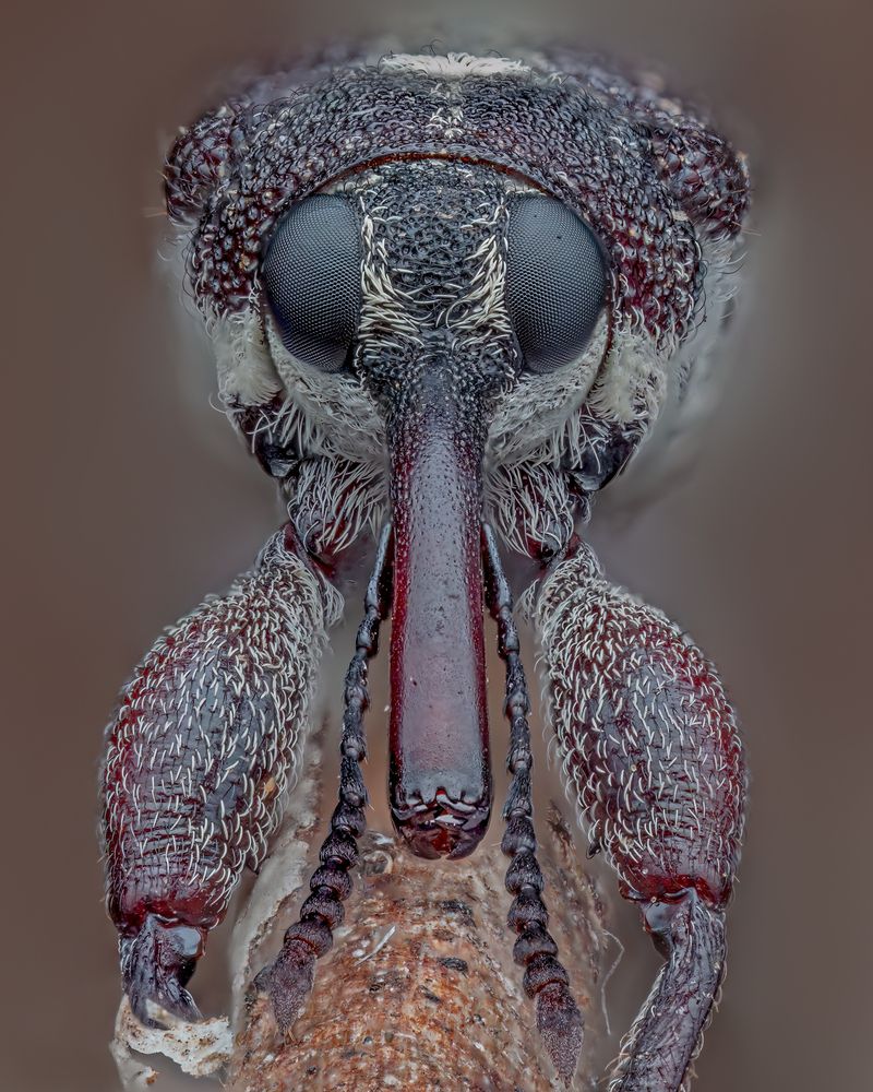 Фотография автора Craig Loechel
