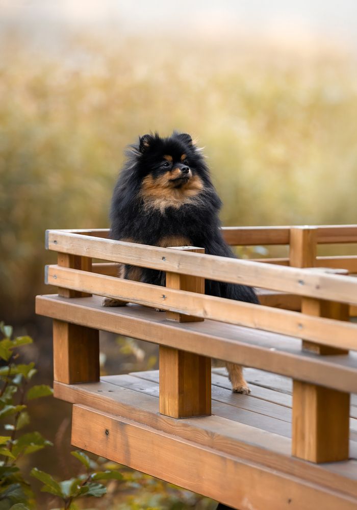 Photograph by Юлия Чайкина