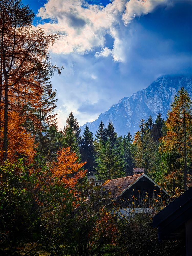 Photograph by Andraz