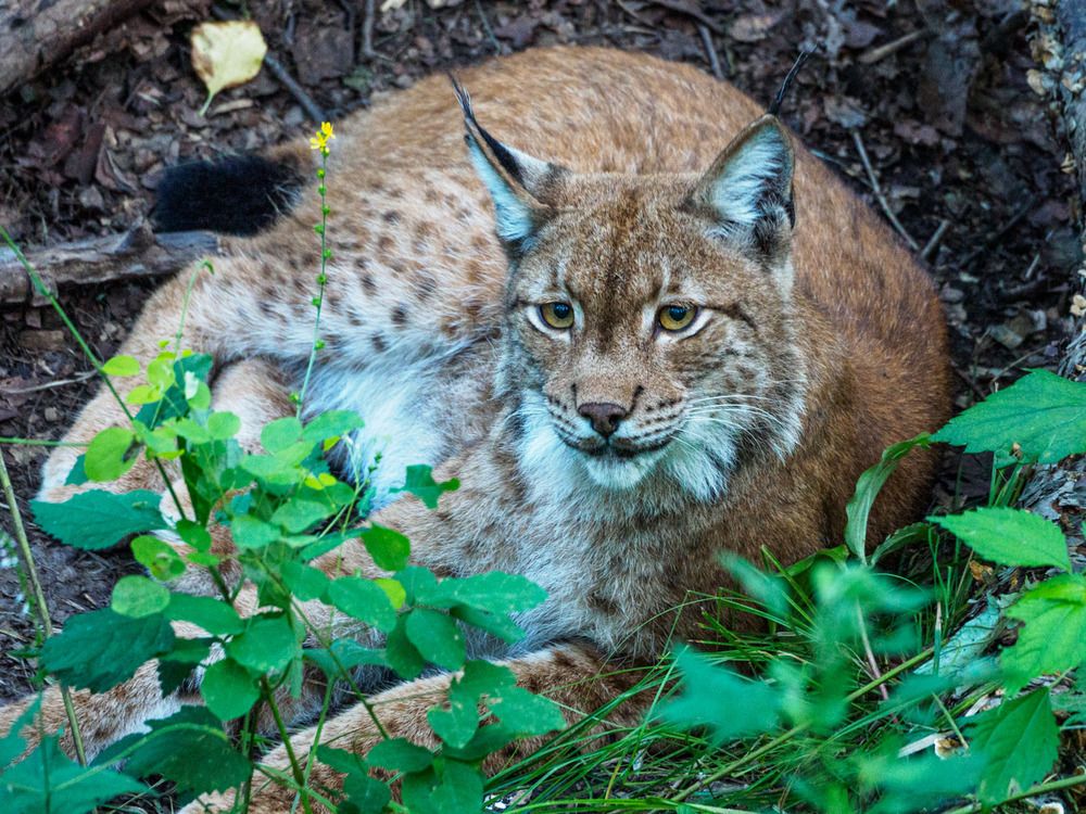 Photograph by Борис Полтавец