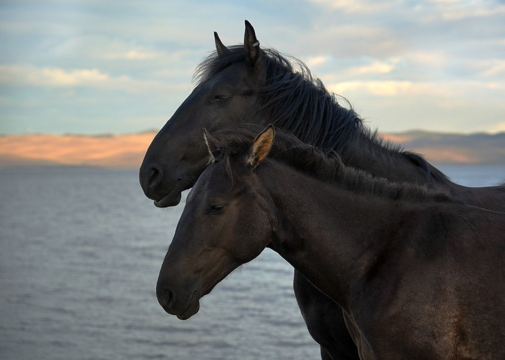 Фотография автора Юлия Есина