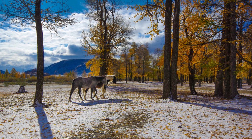 Photograph by Чичкин Валерий
