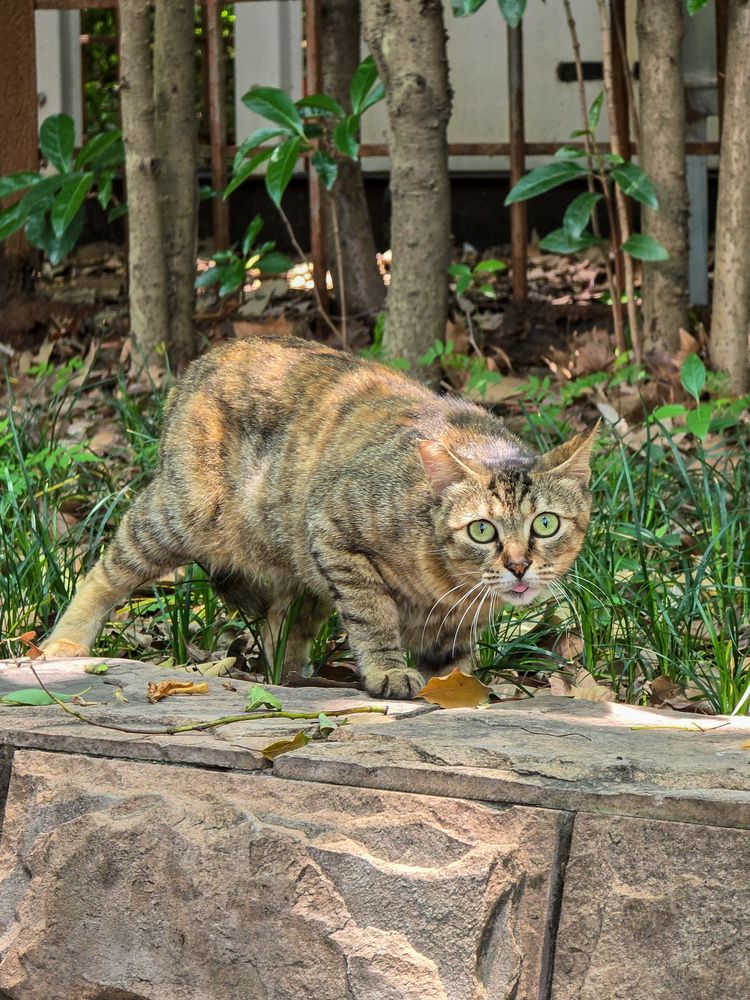 Photograph by Ирина Хлебникова