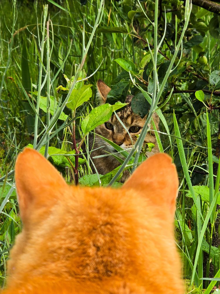 Photograph by Ирина Хлебникова