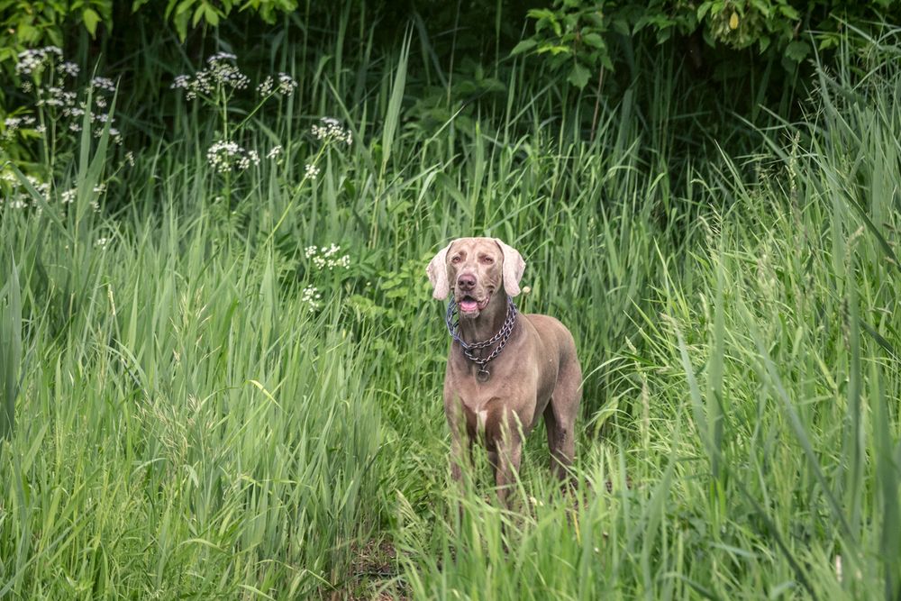 Photograph by Алексеев Сергей