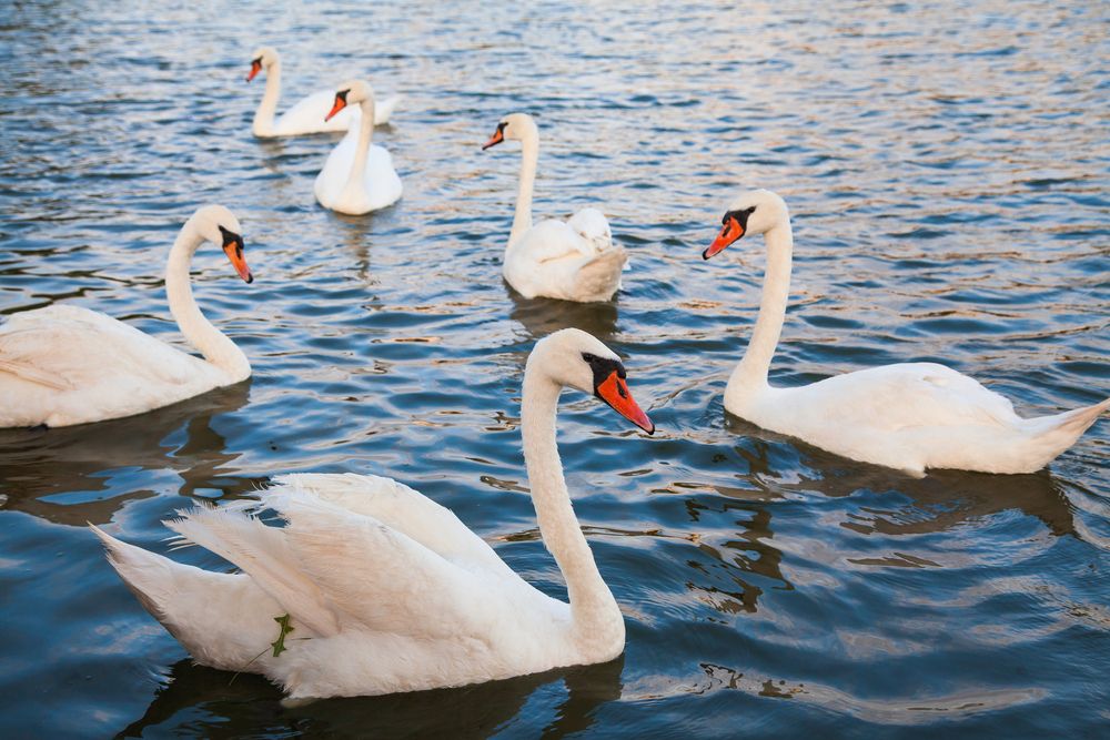 Photograph by Марина Фрейман