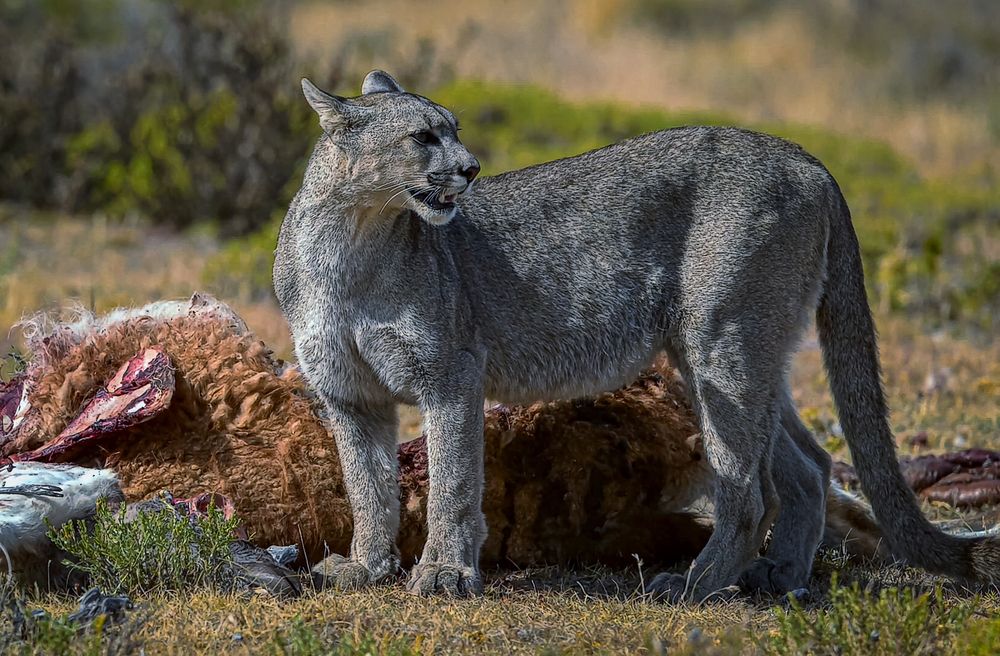 Photograph by Алексей Афонин