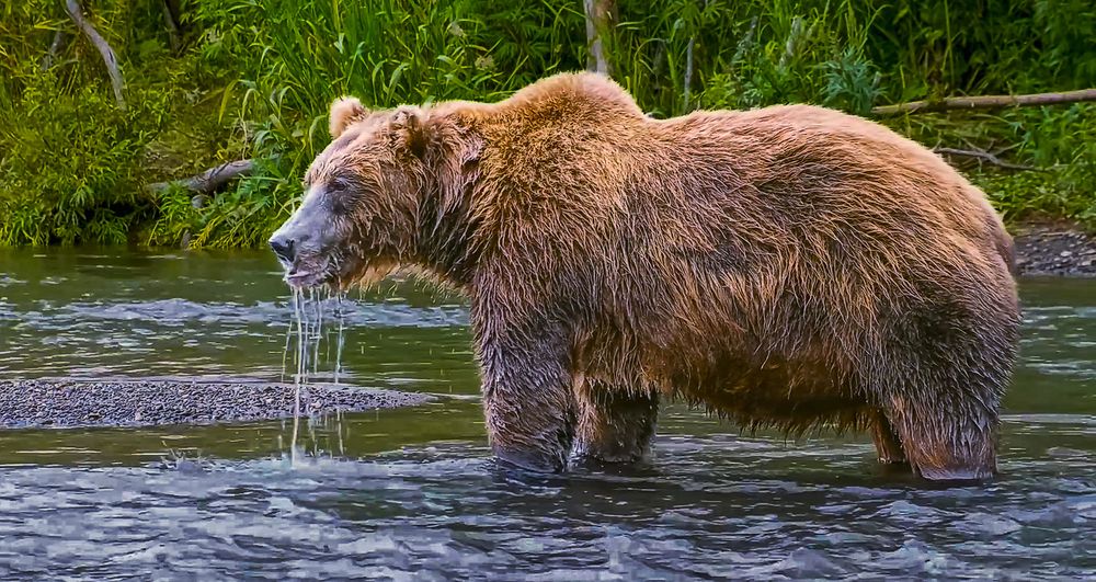 Photograph by Алексей Афонин