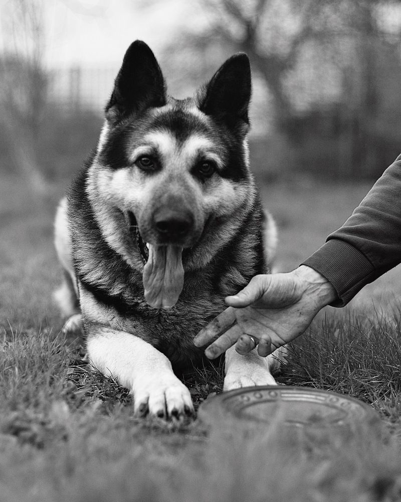 Photograph by Natasha Efanova