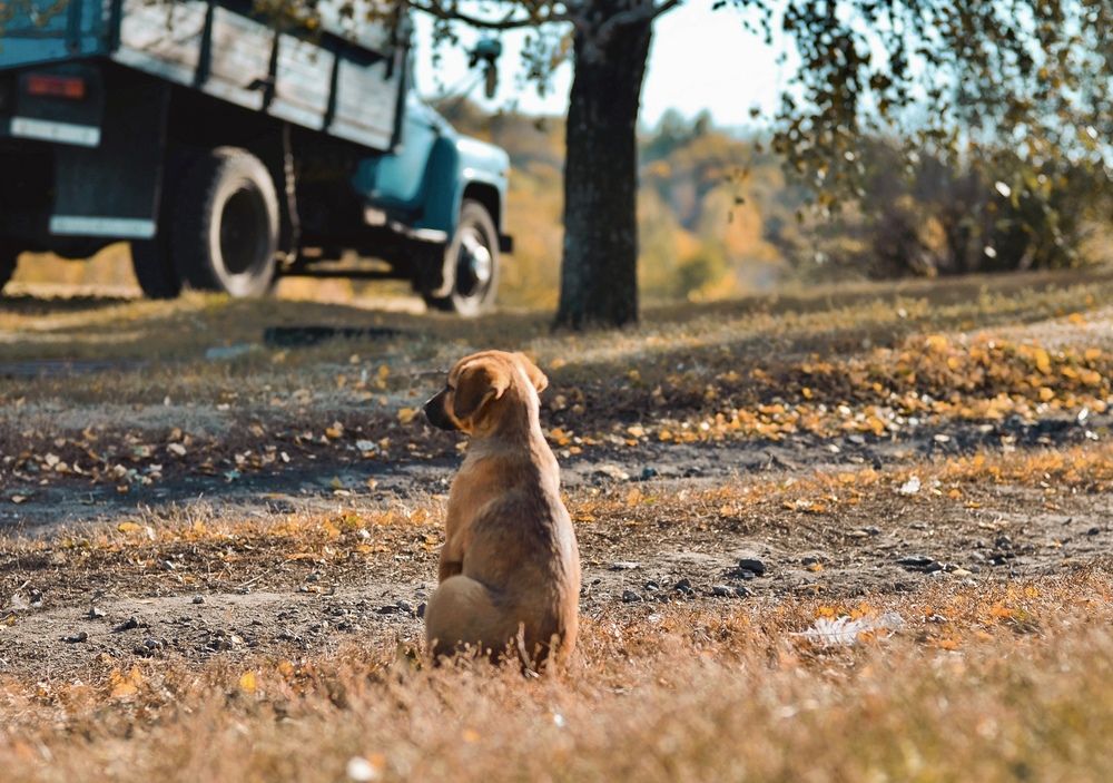 Photograph by Natasha Efanova