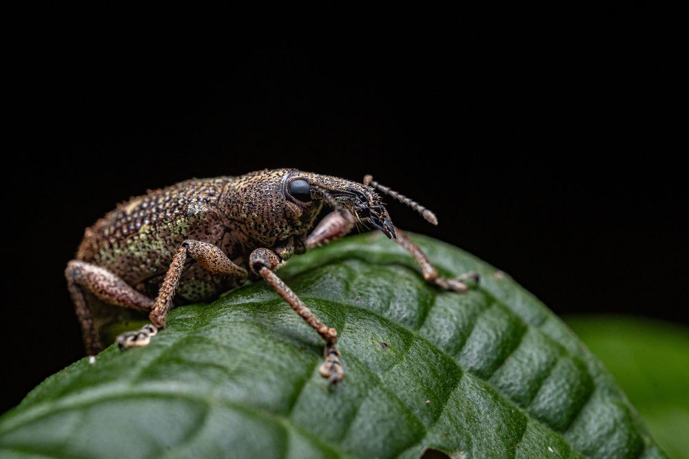 Photograph by JUAN M GUZMÁN