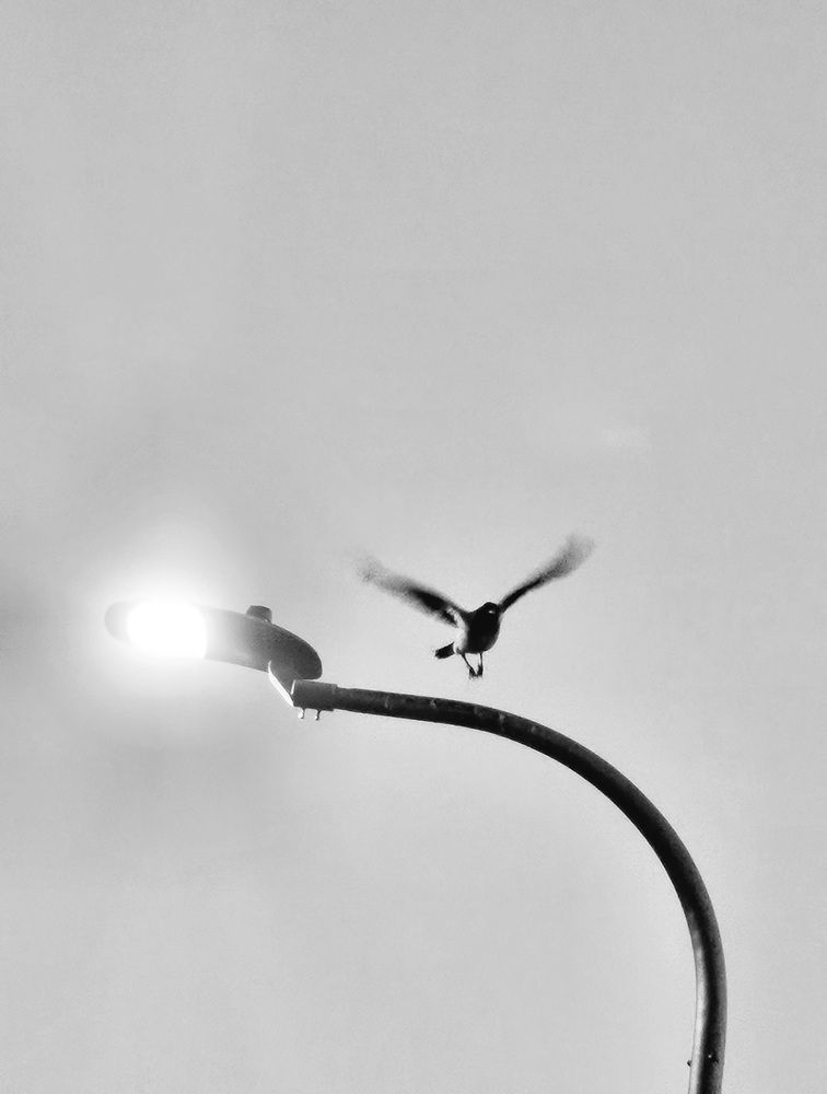 Фотография автора Oksana Podgorodetska