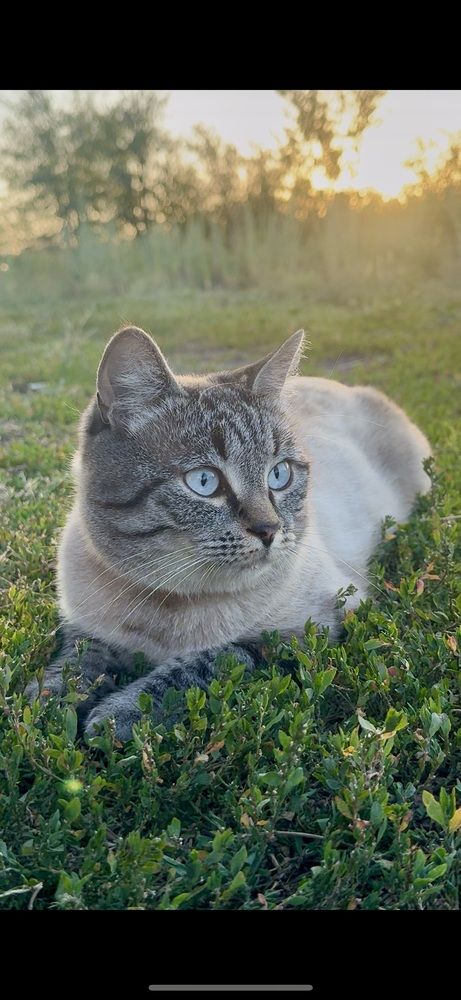 Photograph by Арина Бурда